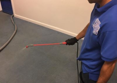 Carpet cleaning service