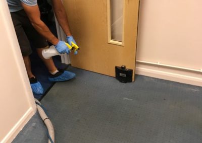 Carpet cleaning service