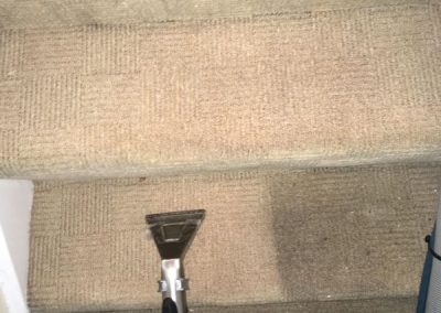 Carpet cleaning service