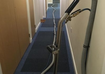 Carpet cleaning service