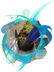 gutter cleaning services