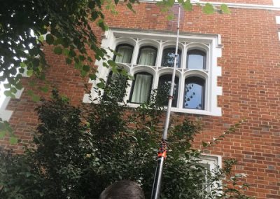 Window cleaners at work